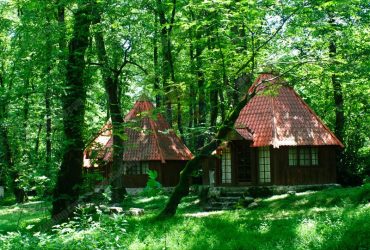 ساخت کلبه هاي چوبي و رستوران سنتي در بام سبز