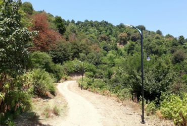 نصب چراغ های روشنایی در جاده بالادست بام سبز